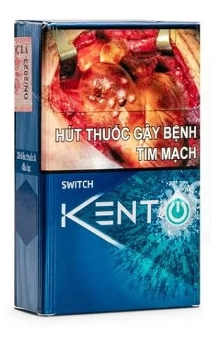 Vietnamese Kent Switch Vietnamese Kent Switch